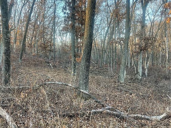 5th image of 17 Acres Lowes Creek Road