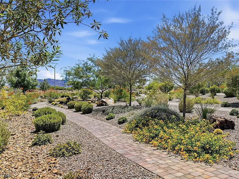 1137 Meadow Sparrow Pl — Photo 59