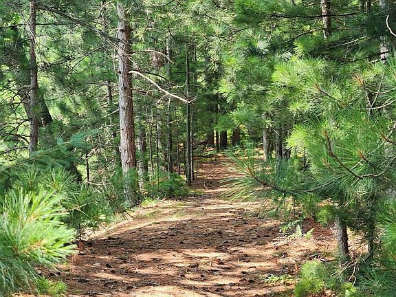 4th image of On DR KATE TRAIL