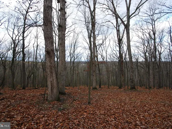 70 & 71 Mill Mountain Rd, Romney, WV 26757