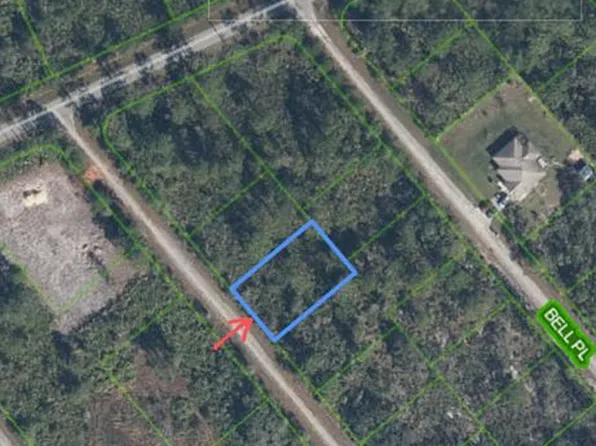 619 Downing Pl, Lake Placid, FL 33852