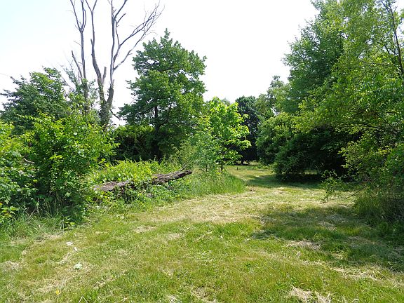 3rd image of 120 S Crystal Ave