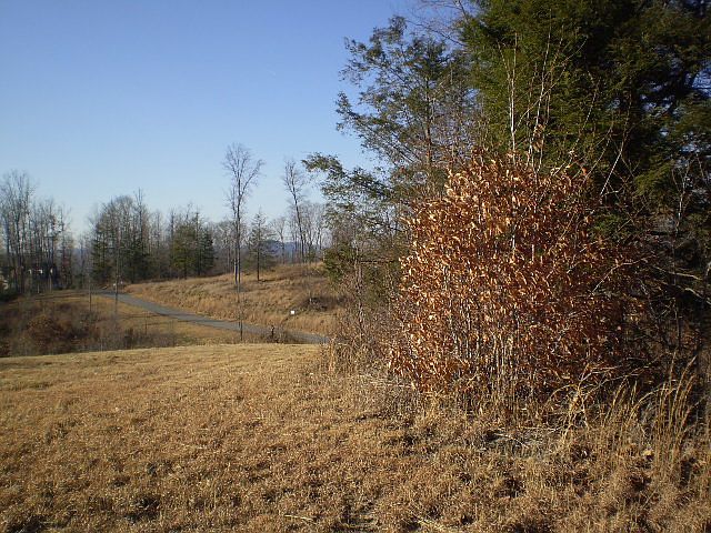 2nd image of 286 River Ridge Lane