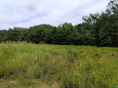 23.3 Acres Un, Union Grove, AL, 35175