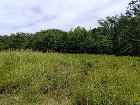 23.3 Acres Un, Union Grove, AL 35175