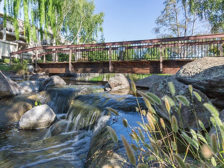 Bridge over Pond