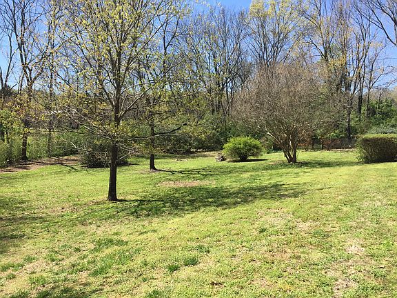 left yard, next to creek