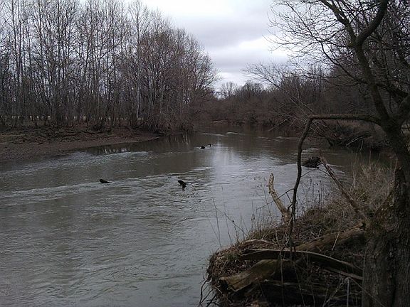 5th image of 35000 Well Rd