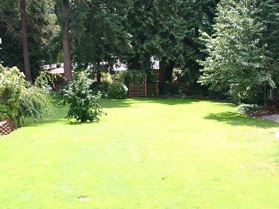 Rear yard