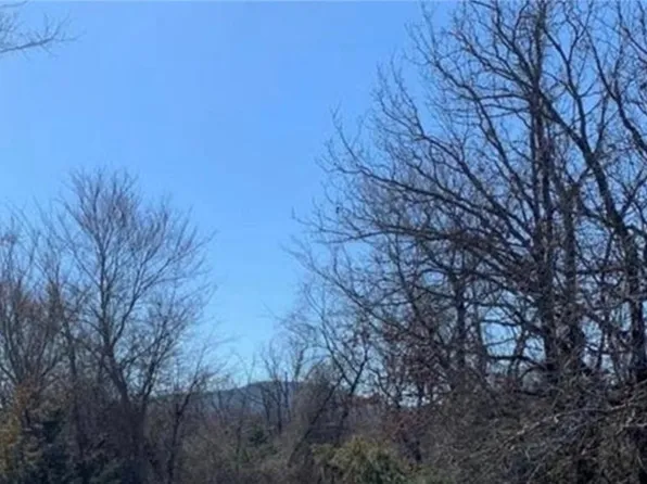 Tbd Latham Rd, Shady Pt, OK 74956