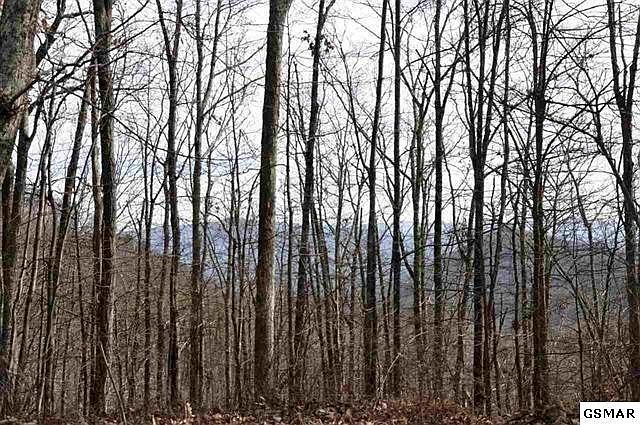 1st image of 5 Old Laurel Ln Lot 5