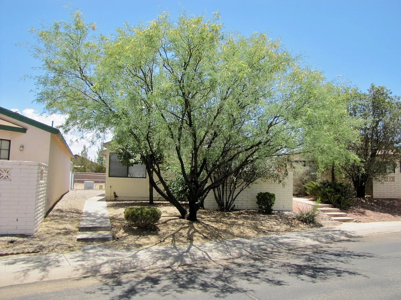 3BR/2BA/1CP in Desert Shadows subdivision, Sierra Vista, AZ — Photo 2