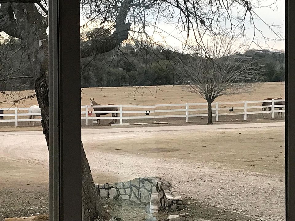 View of horses pasture from the house