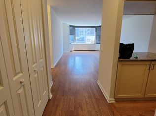 535 N Michigan Ave APT 3006, Chicago, IL 60611