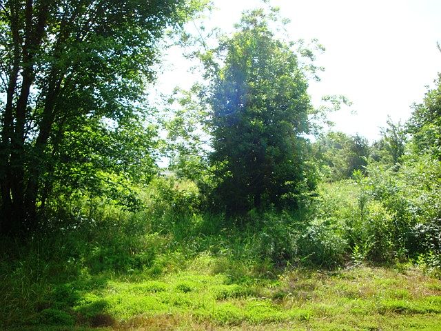 1st image of 23 Haskell Way