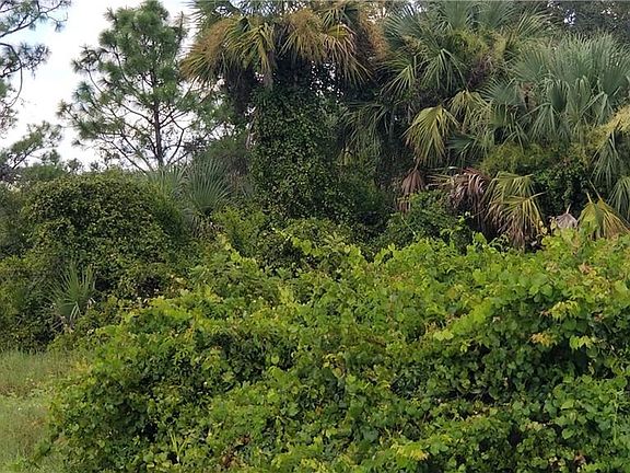 4th image of 17291 Palm Creek Dr