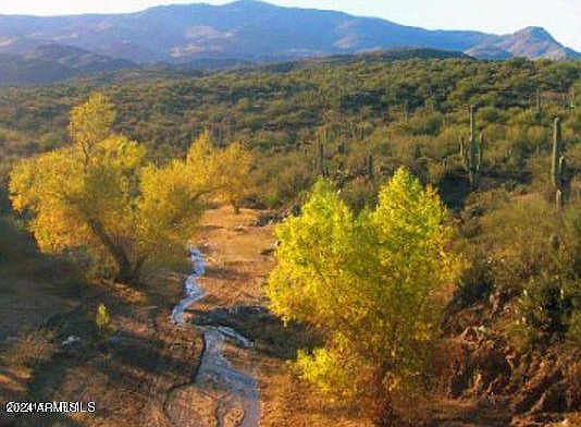 5th image of 000XX N Cow Creek Road #47 B
