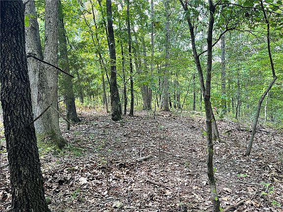 2nd image of Little Borough Ln