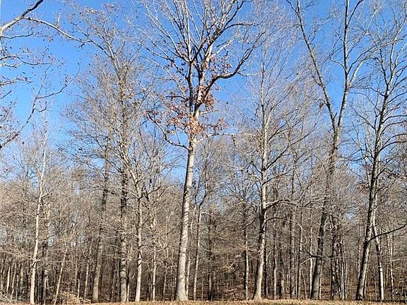 4th image of Bluebird Ct SE