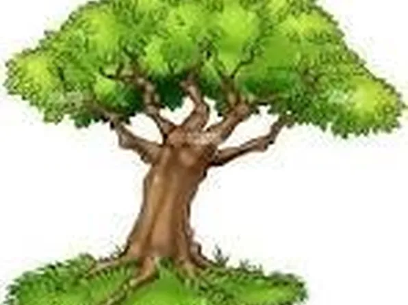 12012 Spiceley Rd, Ford, VA 23850