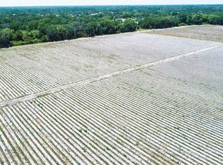 3132 Lewis Rd, Dover, FL 33527