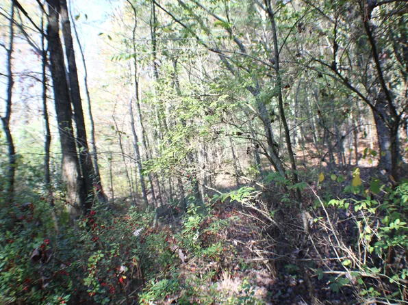 Hively Rd, Dunmore, WV 24934