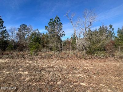 0 Dandelion Dr, Chipley, FL, 32428