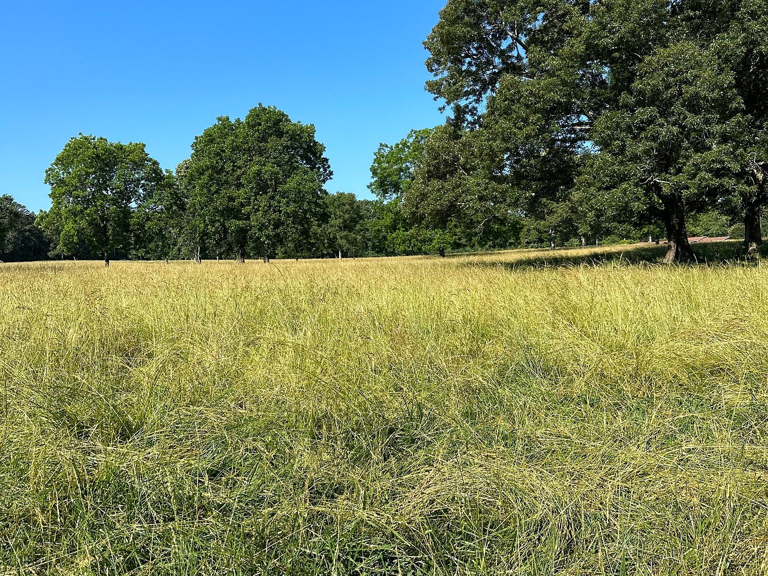 0 Snead Rd LOT 2, Fayetteville, GA 30215 MLS 10166699 Zillow