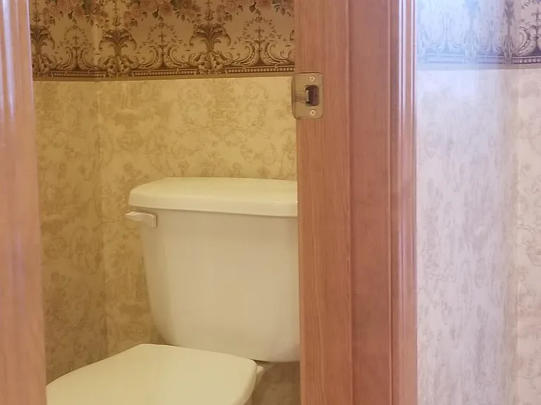 Master bathroom toilet and storage.