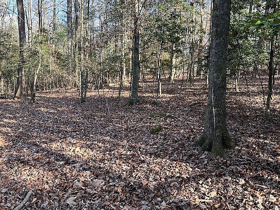4th image of Township Road 4 Timber Falls Trl
