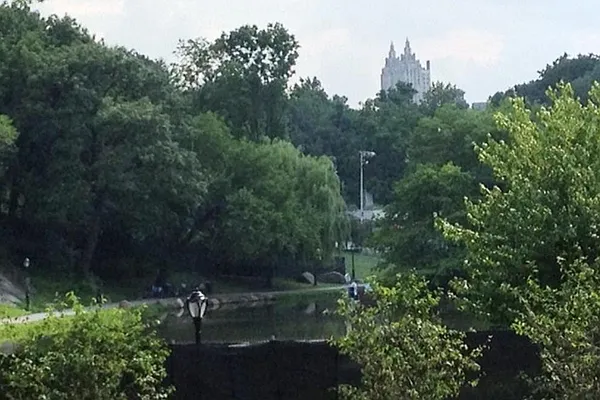 Sold by Corcoran | media 15