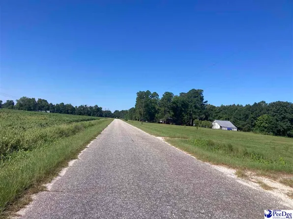 Lone Home Dr, Hamer, SC 29547