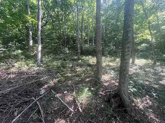 4th image of 1030 Shoreside Dr Lot 112