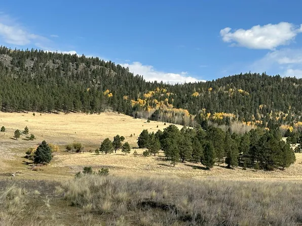 Nm120, Angel Fire, NM 87710