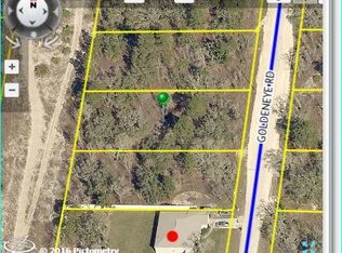 15097 Goldeneye Rd, Weeki Wachee, FL 34614
