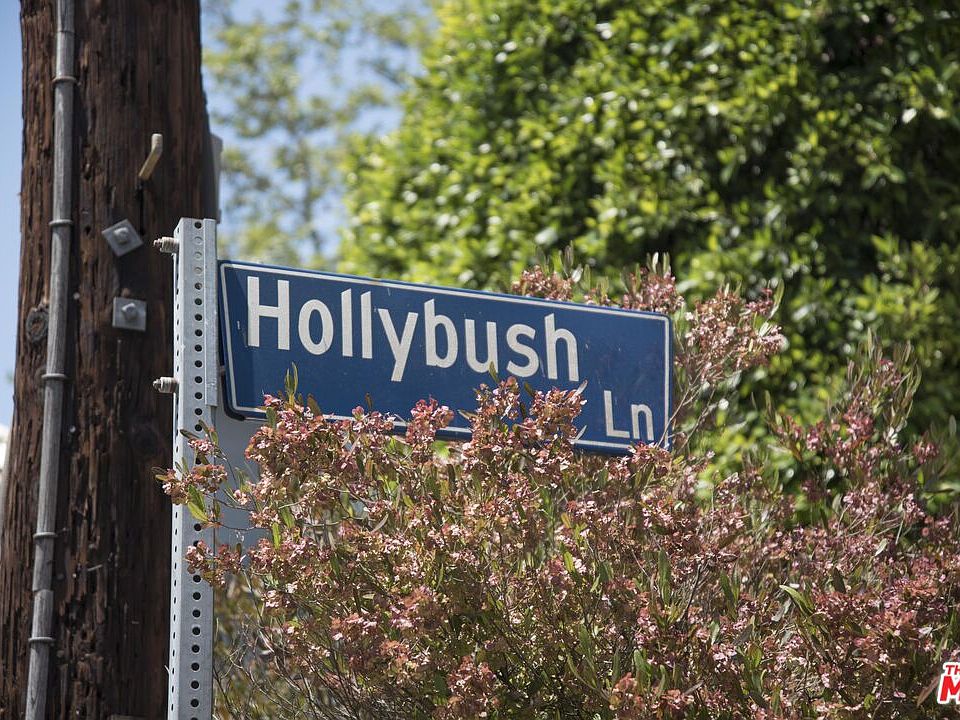 1st image of 1033 Hollybush Ln