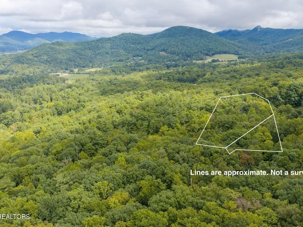 165 Lail Ln, Townsend, TN 37882