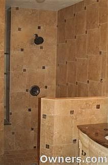 Master bath shower.
