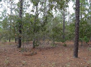 0 Treadwell Ln, Mauk, GA 31058