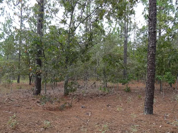 0 Treadwell Ln, Mauk, GA 31058