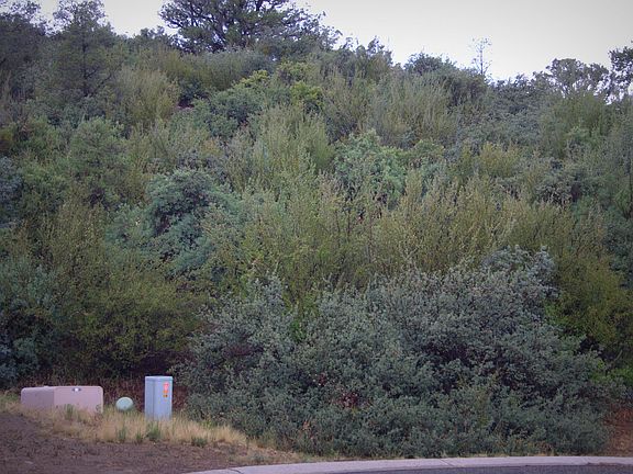 5th image of 536 Sleepyhollow Cir