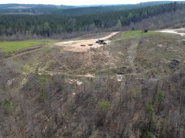 0 State Highway 241, Bear Creek, AL 35543