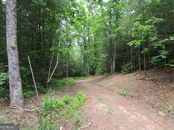 2nd image of 2 E New Hope Rd