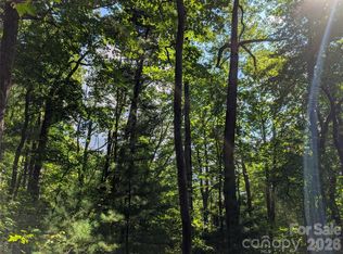 0 Raspberry Ln, Hot Springs, NC 28743