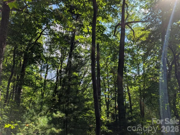 0 Raspberry Ln, Hot Springs, NC 28743