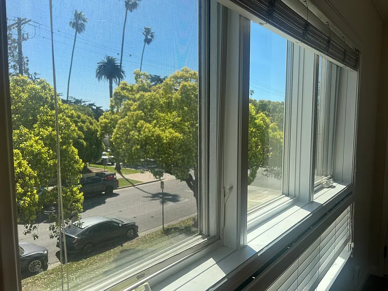 View out Livingroom window