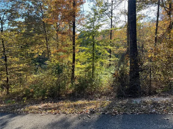 LOT 8 Allison Dr, Mc Calla, AL 35111