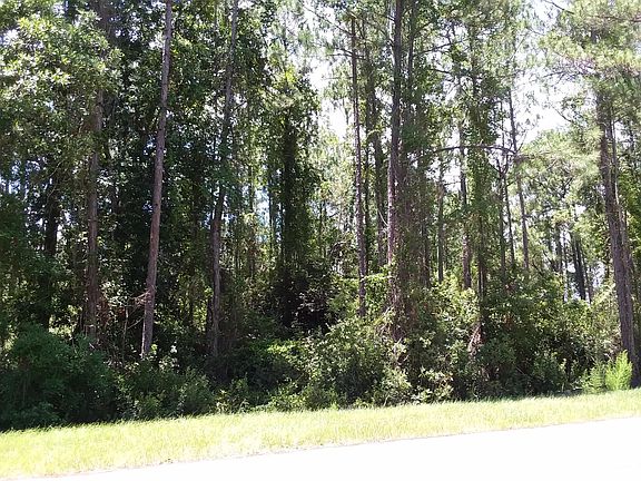 4th image of 12 Blue Gulf Dr