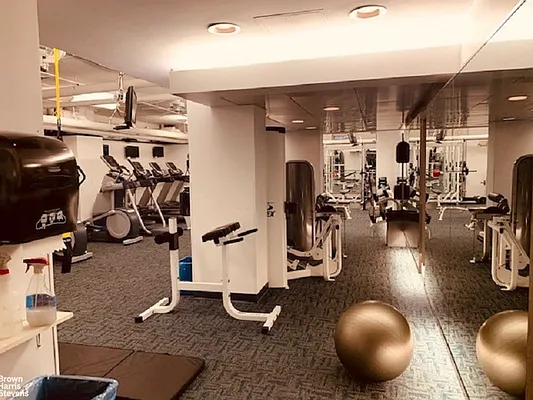 Rented by Brown Harris Stevens | media 8