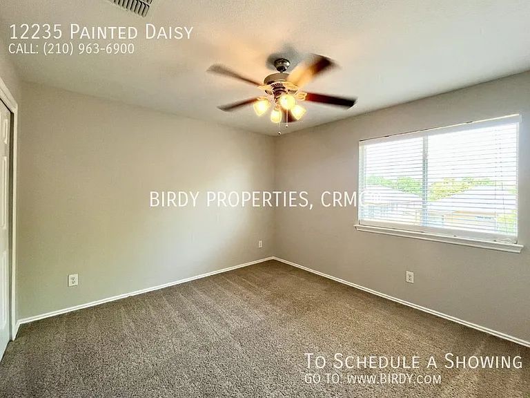 12235 Painted Daisy — Photo 31
